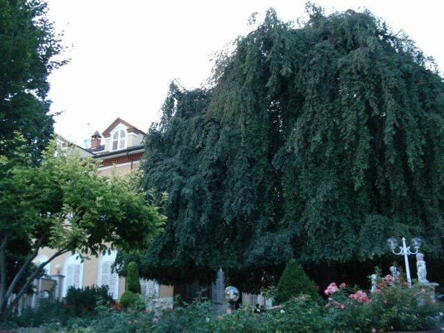 Park Hotel Villa Salzea Trofarello Екстер'єр фото